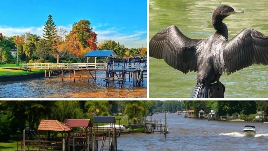 Safari fluvial au Tigre : Le Delta du Tigre à l’État Pur
