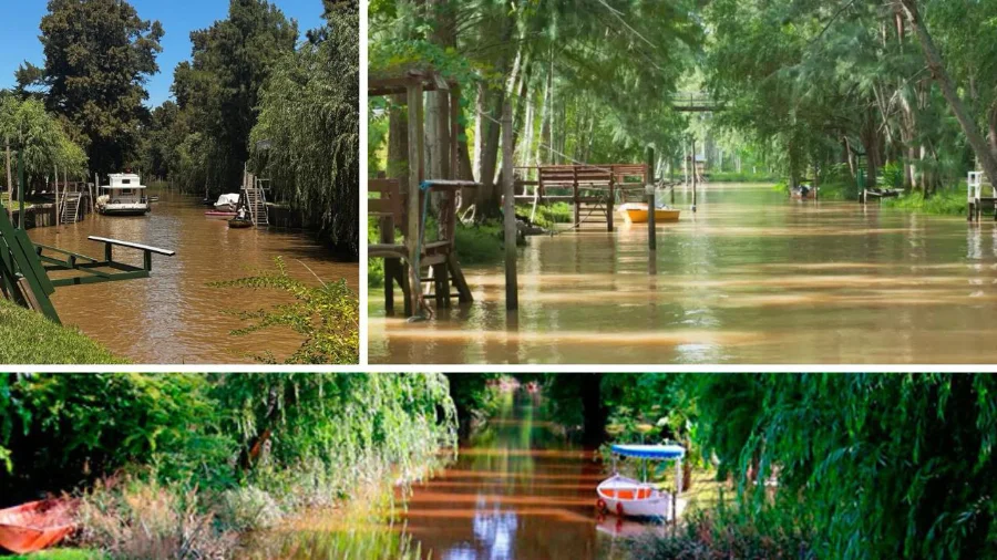 Safari fluvial au Tigre : Le Delta du Tigre à l’État Pur