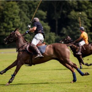 Une Journée au Pays du Polo en Privé