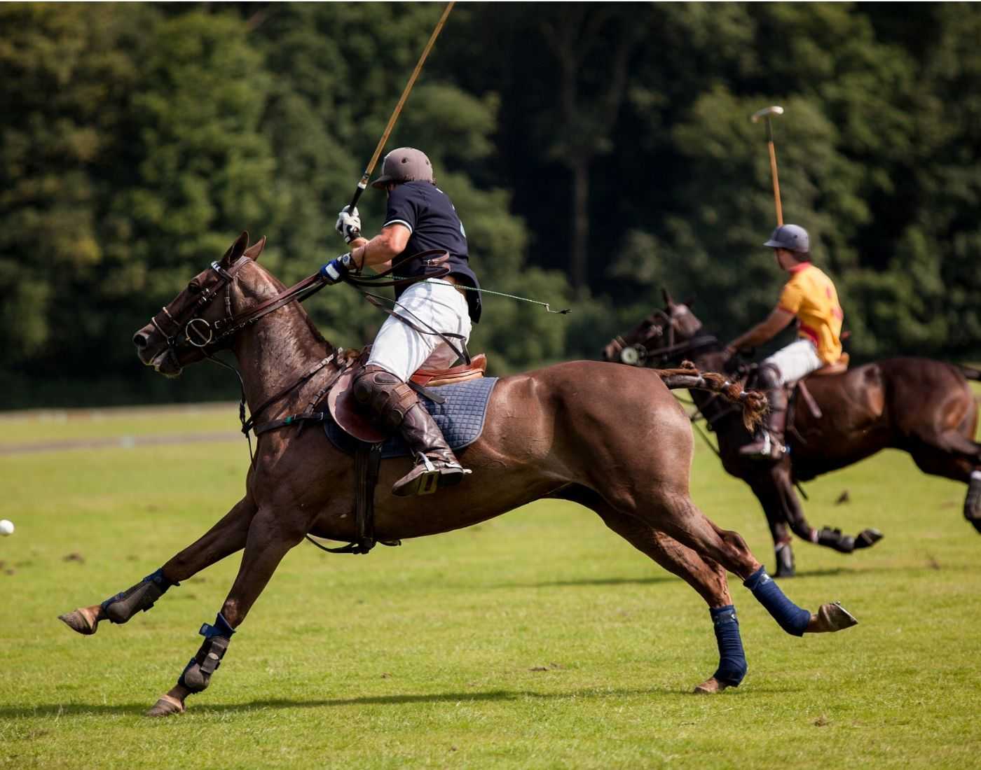 Une Journée au Pays du Polo en Privé